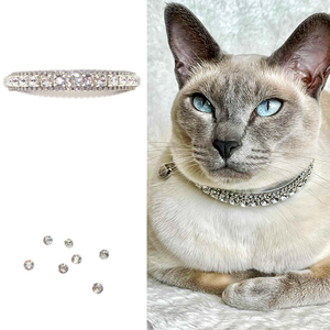 Fancy kitten collars best sale